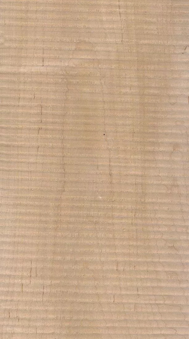桦木的芯材颜色是淡红棕色，边材颜色近白色，板面宽且带影的木皮市场价格良好，纹理通常是直纹和波浪纹，质地均匀，板面有很好的自然光泽度。.webp.jpg