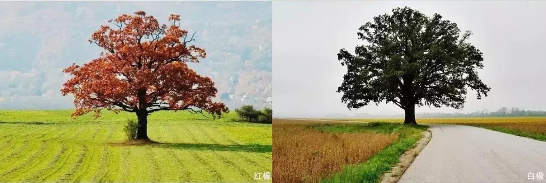 1622100219.png image.png